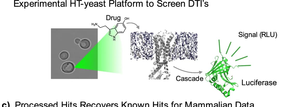 Open access visualization of Workflow, Illustration, Microscopy, Chemical Structure, Protein Structure