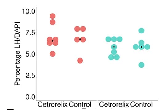 Open access visualization of Scatter Plot, Quantification, LH, DAPI, Cetrorelix