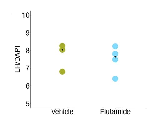 Open access visualization of Scatter Plot, Quantification, LH, DAPI, Flutamide