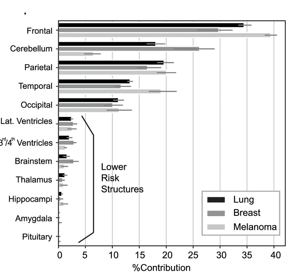 Open access visualization of Bar Plot, Error Bars, Clustered, BM Lesions, Anatomical Regions