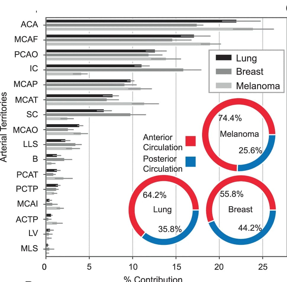 Open access visualization of Bar Plot, Error Bars, Pie Chart, Donut Chart, Brain Metastasis Lesions