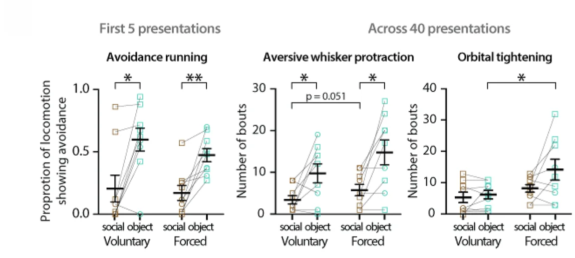 Open access visualization of Line Plot, Error Bars, Running Avoidance, WT Mice, Whisker Protraction