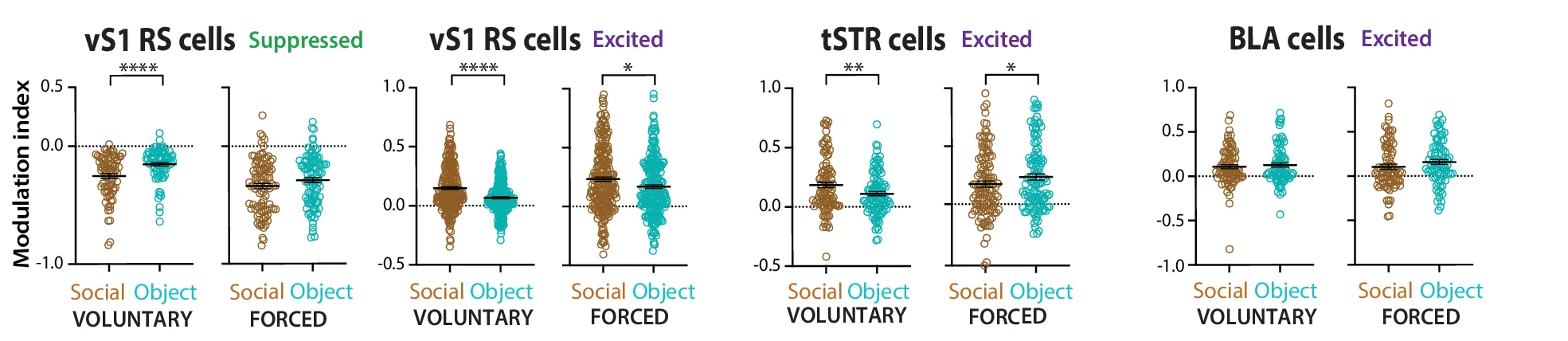 Open access visualization of Scatter Plot, Modulation Index, vS1 Cells, tSTR Cells, BLA Cells