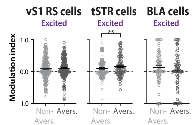 Open access visualization of Scatter Plot, Error Bars, Modulation Index, Excited Cells, vS1 Cells