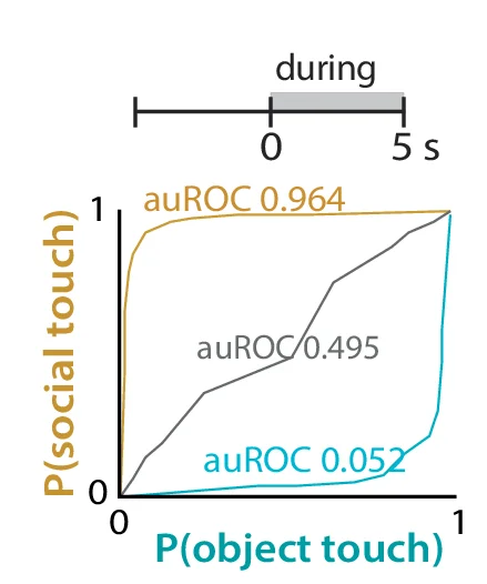 Open access visualization of Line Plot, ROC Curves, Social-Preferring Cell, Object-Preferring Cell, Neutral Cell