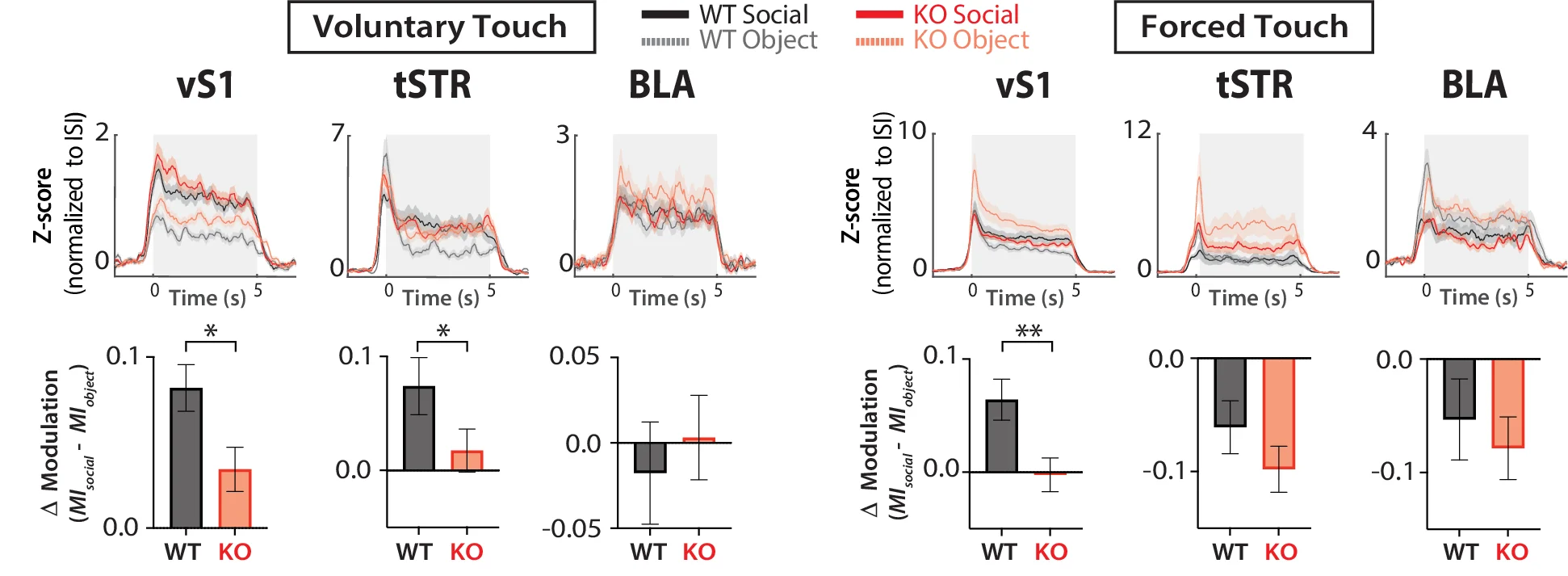 Open access visualization of Line Plot, Error Bars, Bar Plot, Z-score Activity, Excited Cells