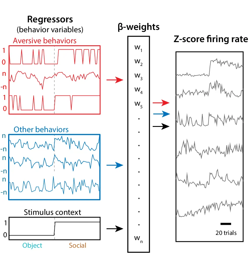 Open access visualization of Line Plot, Workflow, Linear Encoding Model, Discrete Variables, Continuous Variables
