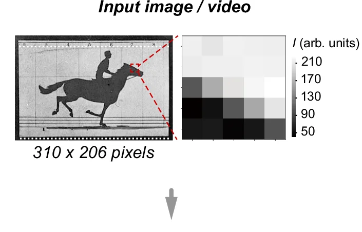 Open access visualization of Heatmap, Image, Edge Detection, Grayscale
