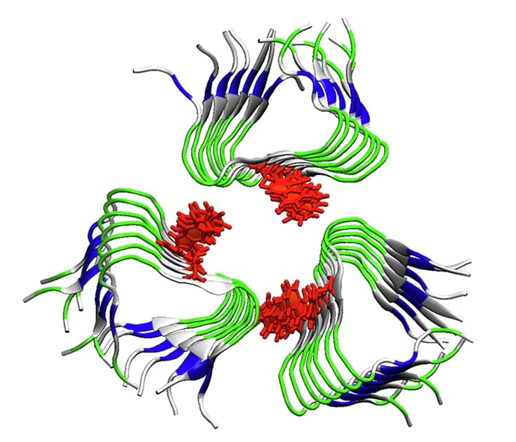 Open access visualization of Protein Structure, MD Simulation, Beta-helical Trimer, Arginine, Lysine Residues
