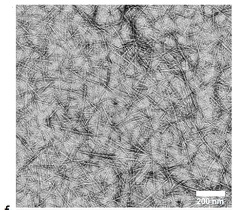 Open access visualization of Microscopy, Electron Micrographs, Atomic Force Micrographs, SaBeH