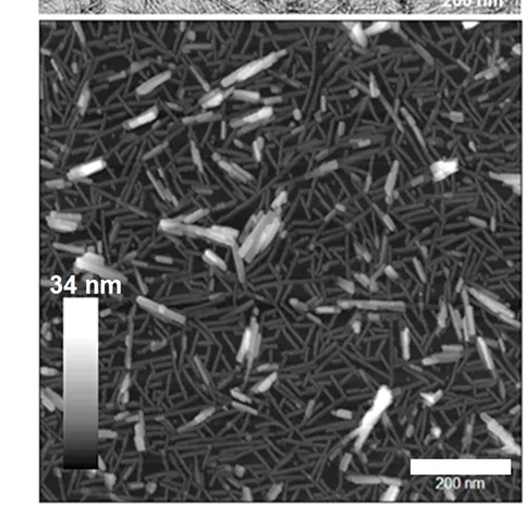 Open access visualization of Microscopy, Electron Micrographs, Atomic Force Micrographs, SaBeH