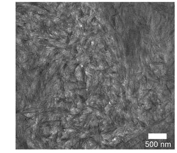 Open access visualization of Microscopy, Electron Micrograph, Hydrogel