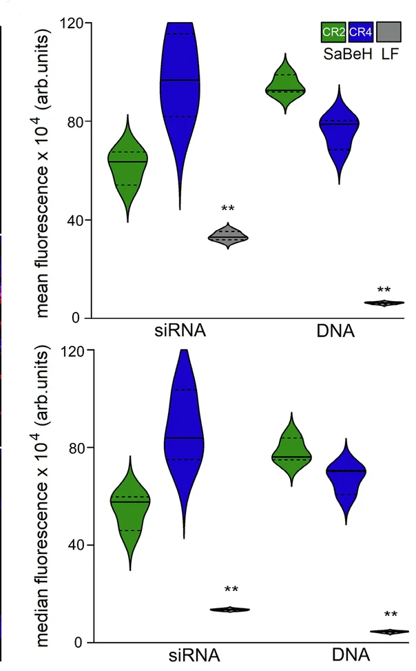 Open access visualization of Violin Plot, Cell Uptake, siRNA, pDNA, Flow Cytometry