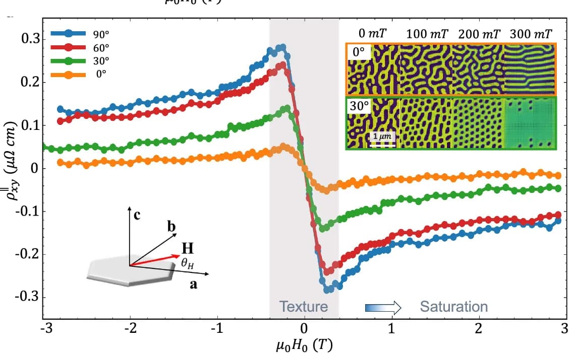 Open access visualization of Line Plot, Microscopy, PHE Measurements, IP H, Magnetic Textures