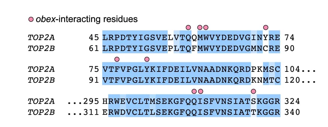 Open access visualization of Illustration, Table Image, Sequence Alignment, TOP2 ATPase Domain, Compound 5c
