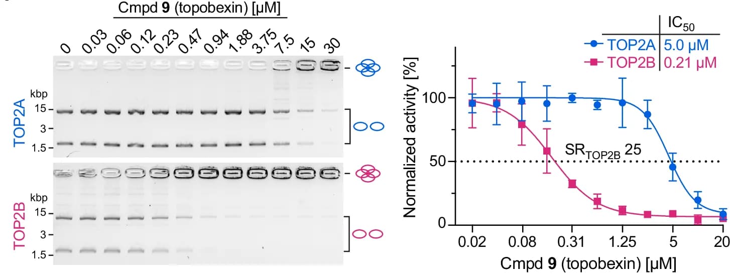 Open access visualization of Line Plot, Error Bars, Gel, Amide Dihedral Angle, Topobexin