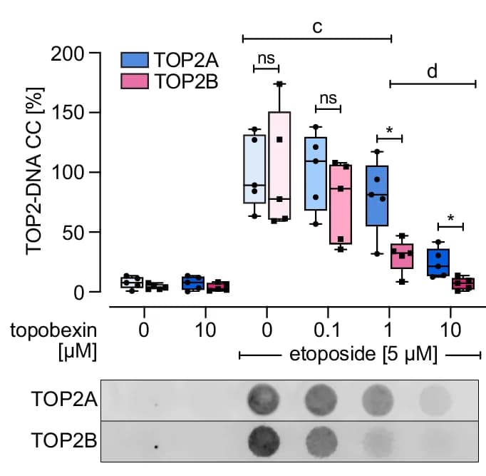 Open access visualization of Box Plot, Photo, Gel, RADAR Assays, TOP2-DNA Covalent Complex
