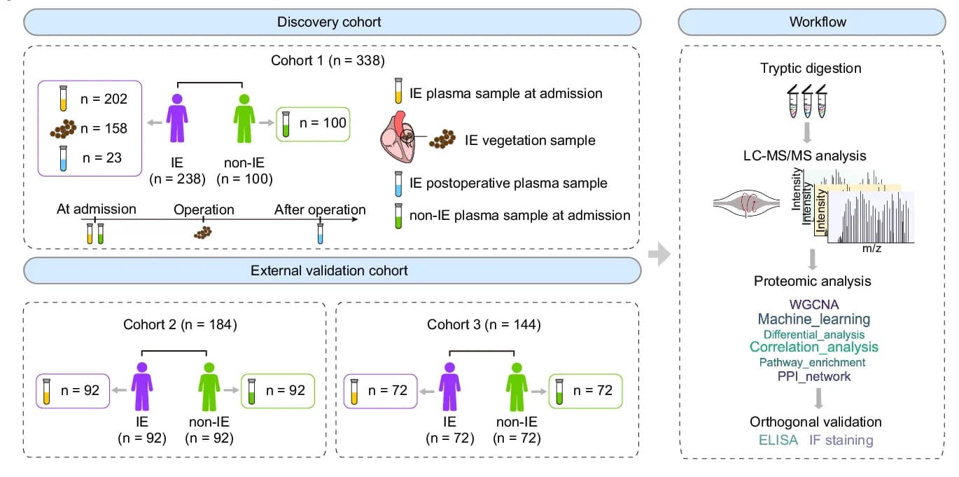 Open access visualization of Workflow, Flowchart, Illustration, Cohort Populations, Research Strategy