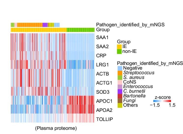 Open access visualization of Heatmap, Expression Profiles, Proteins, Patient Sample, Z-Score