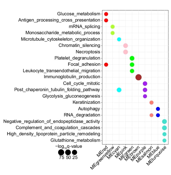 Open access visualization of Bubble Plot, Bubble Chart, Pathways, Proteins, Modules