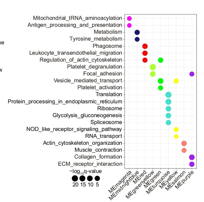 Open access visualization of Bubble Plot, Scatter Plot, Bubble Chart, Pathways, Proteins