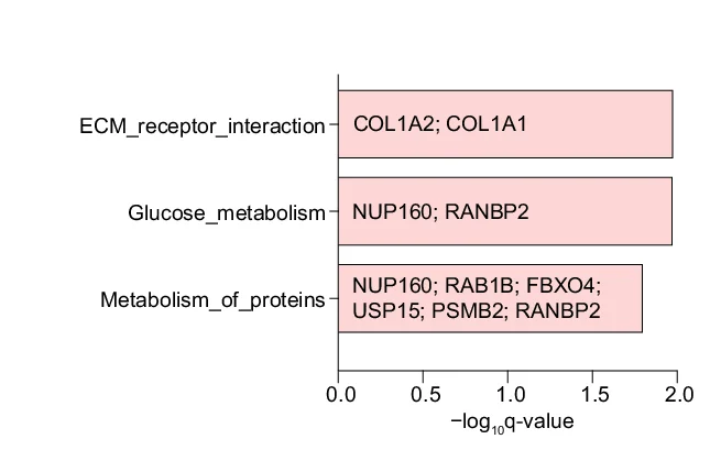 Open access visualization of Bar Plot, Bar Charts, Pathways, Hub Proteins