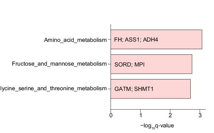 Open access visualization of Bar Plot, Bar Charts, Pathways, Hub Proteins