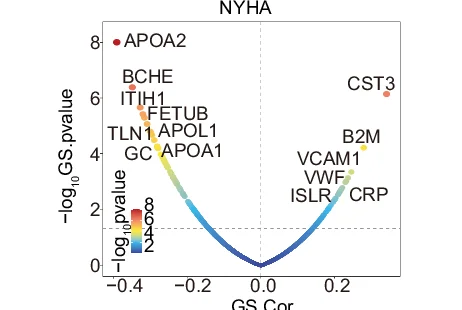 Open access visualization of Scatter Plot, Volcano Plot, Proteins, NYHA Class, Correlation
