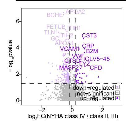 Open access visualization of Volcano Plot, Scatter Plot, Bar Plots, DEPs, Dysregulated Pathways