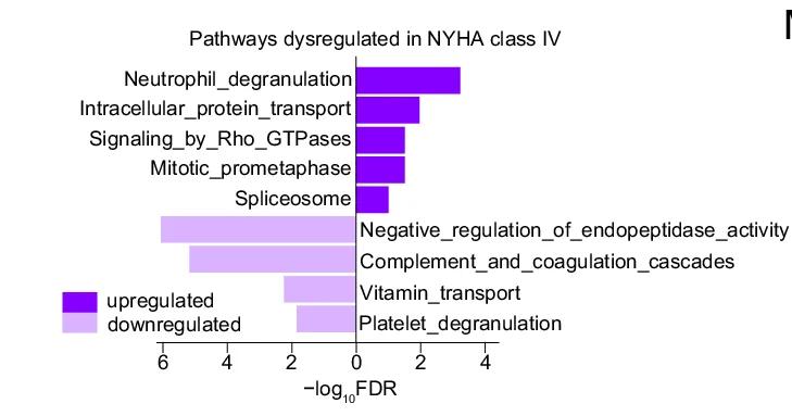 Open access visualization of Bar Plot, Volcano Plot, Bar Plots, DEPs, Dysregulated Pathways