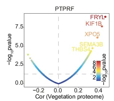 Open access visualization of Volcano Plot, Scatter Plot, Vegetation Proteins, Mitral Valve Surgery, PTPRF