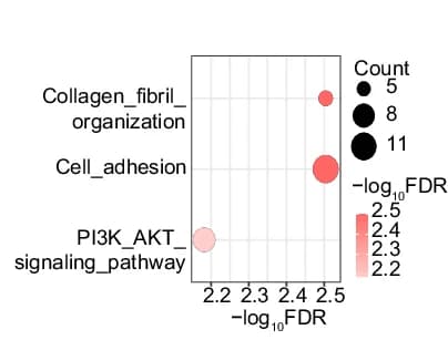 Open access visualization of Bubble Plot, Bubble Chart, Pathways, Proteins, PTPRF