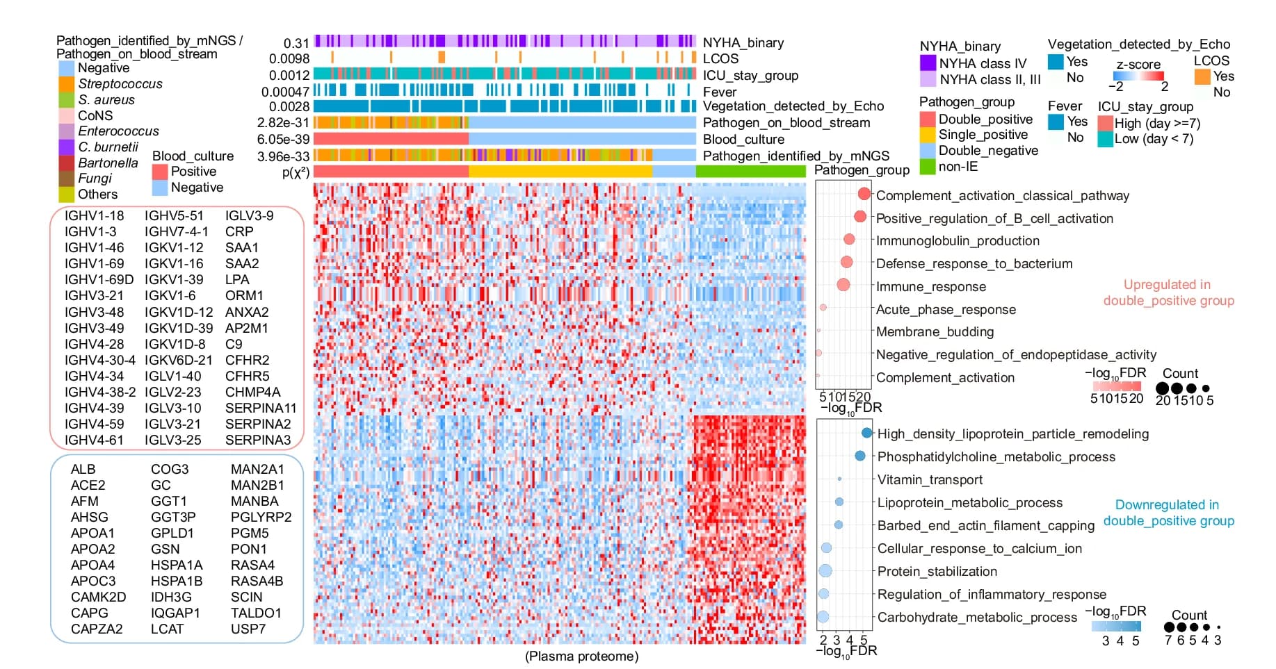 Open access visualization of Heatmap, Clustered, Scatter Plot, Bubble Plot, Bar Plot