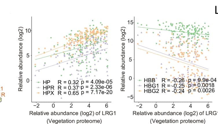 Open access visualization of Scatter Plot, Regression Plot, LRG1, Haptoglobin, Hemopexin