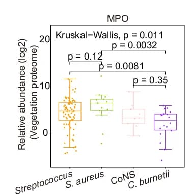 Open access visualization of Box Plot, Scatter Plot, Boxplot, Relative Abundance, Vegetation Protein MPO