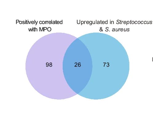 Open access visualization of Venn Diagram, Vegetation Proteins, MPO, Streptococcus, S. aureus