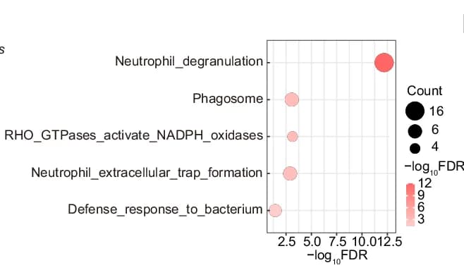 Open access visualization of Bubble Plot, Scatter Plot, Bubble Chart, Enriched Pathways