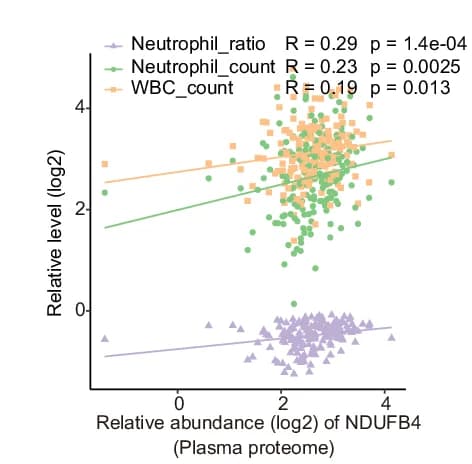 Open access visualization of Scatter Plot, Regression Plot, Correlation, NDUFB4, Inflammatory Indicators