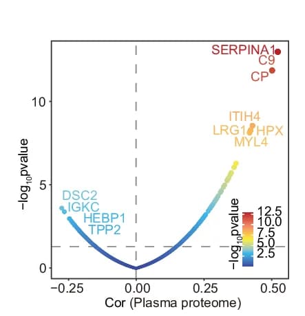 Open access visualization of Volcano Plot, Scatter Plot, Correlation, NDUFB4, Plasma Proteome
