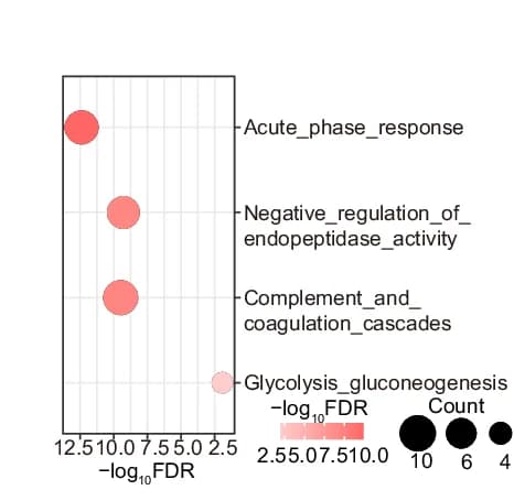 Open access visualization of Bubble Plot, Bubble Chart, Enriched Pathways, NDUFB4, Proteins