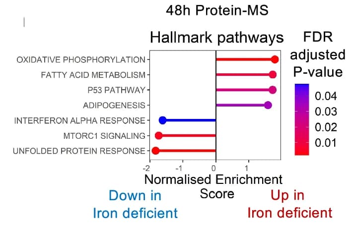 Open access visualization of Bar Plot, Error Bars, Gene Set Enrichment Analysis, Protein-Mass Spectrometry, Benjamini-Hochberg Adjustment