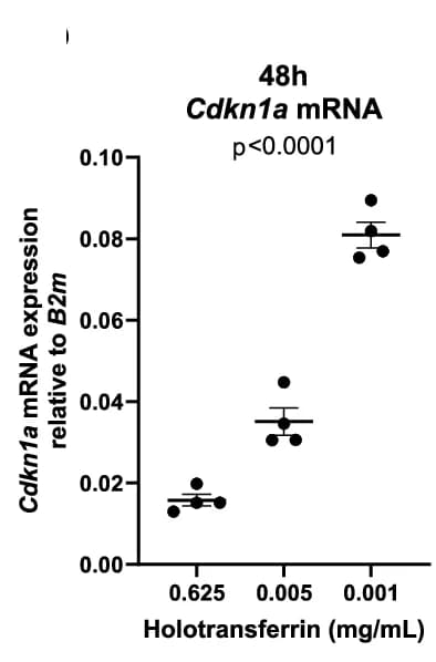 Open access visualization of Scatter Plot, Cdkn1a, mRNA, Protein Expression