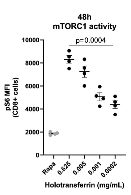 Open access visualization of Scatter Plot, Error Bars, mTORC1 Activity, Phospho-S6, Rapamycin