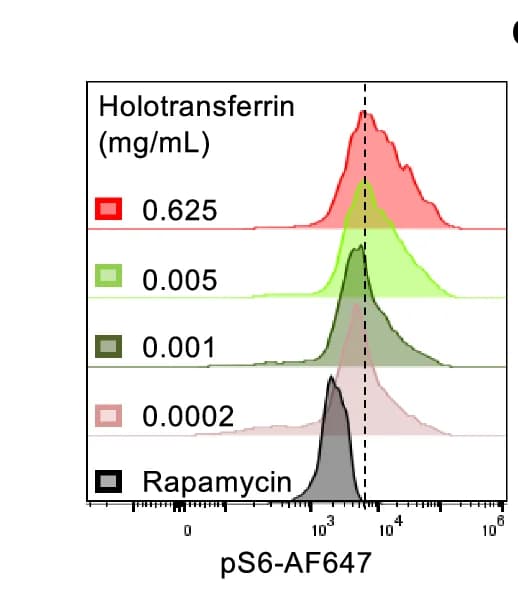 Open access visualization of Line Plot, Density Plot, Ridge Plot, mTORC1 Activity, Phospho-S6