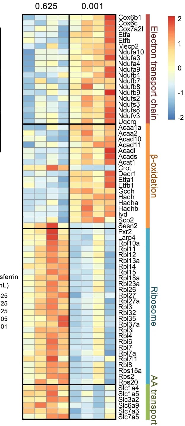 Open access visualization of Heatmap, Proteins, Metabolic Pathways, GO Terms, Electron Transport Chain