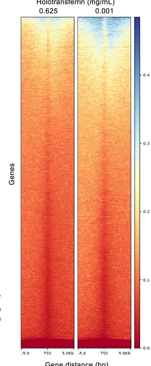 Open access visualization of Heatmap, H3K27me3, Transcription Start Sites, TSSs, ChIPmentation