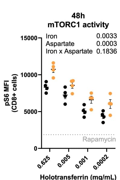 Open access visualization of Scatter Plot, Error Bars, mTORC1 activity, Phospho-S6