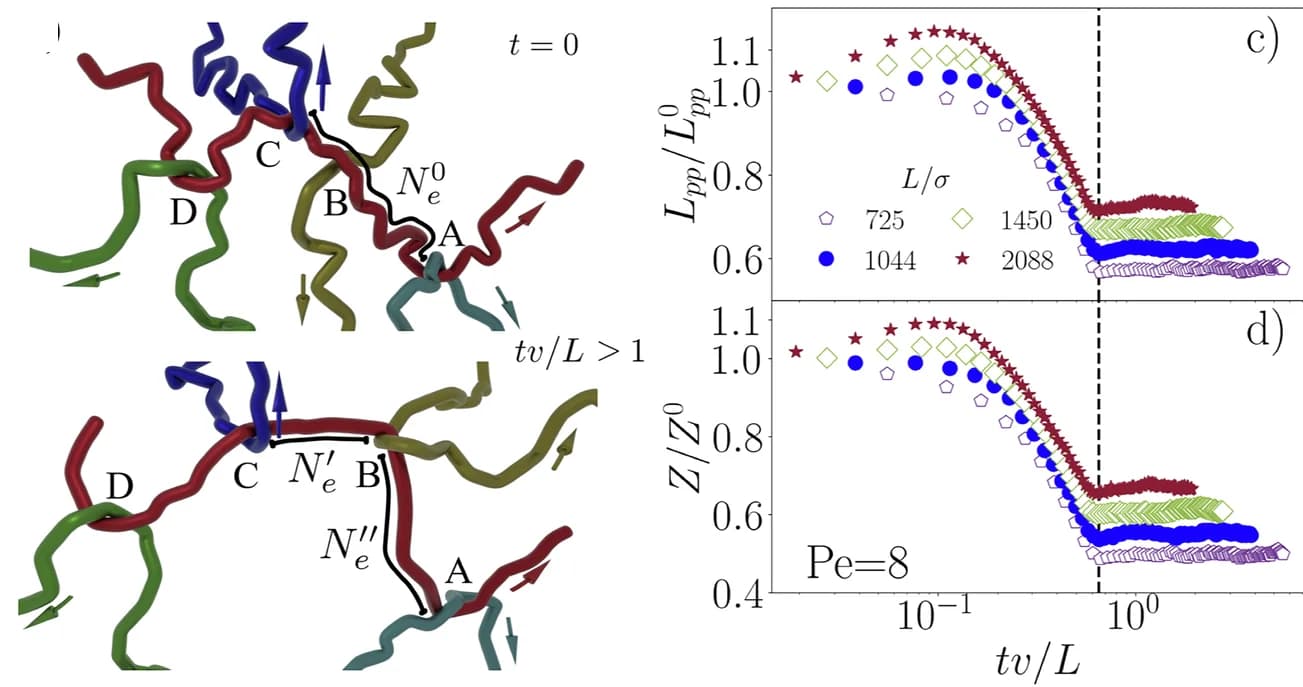 Open access visualization of Line Plot, Illustration, Polymer, Entanglement, Self-Propulsion