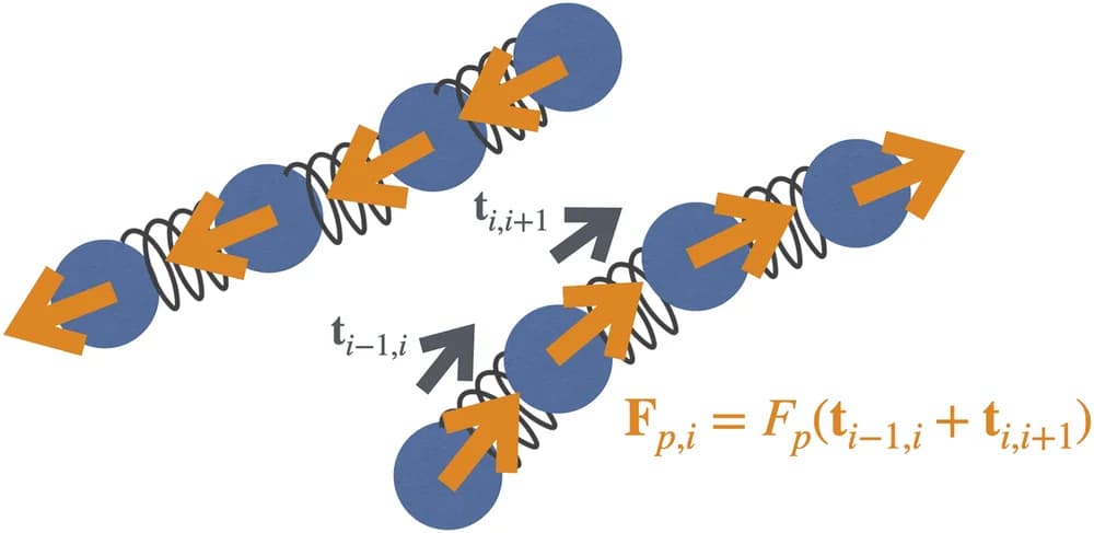 Open access visualization of Illustration, Polymer, Tangent Vector, Self-propelled