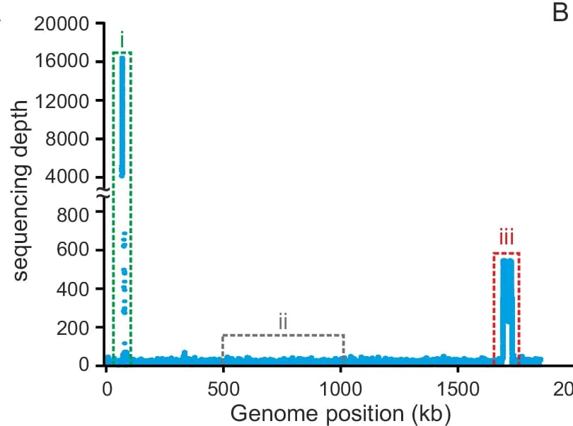 Open access visualization of Line Plot, Coverage Depth, M. smithii PS chromosome